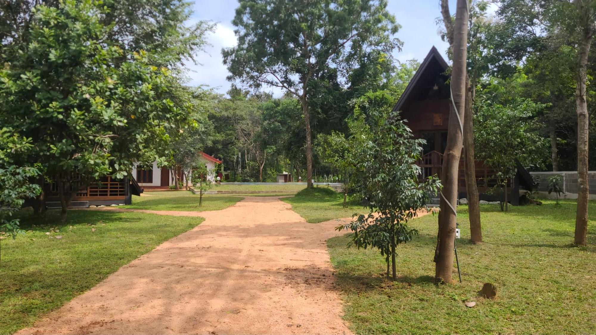 Lion King Jungle Cabanas Sigiriya Exterior photo