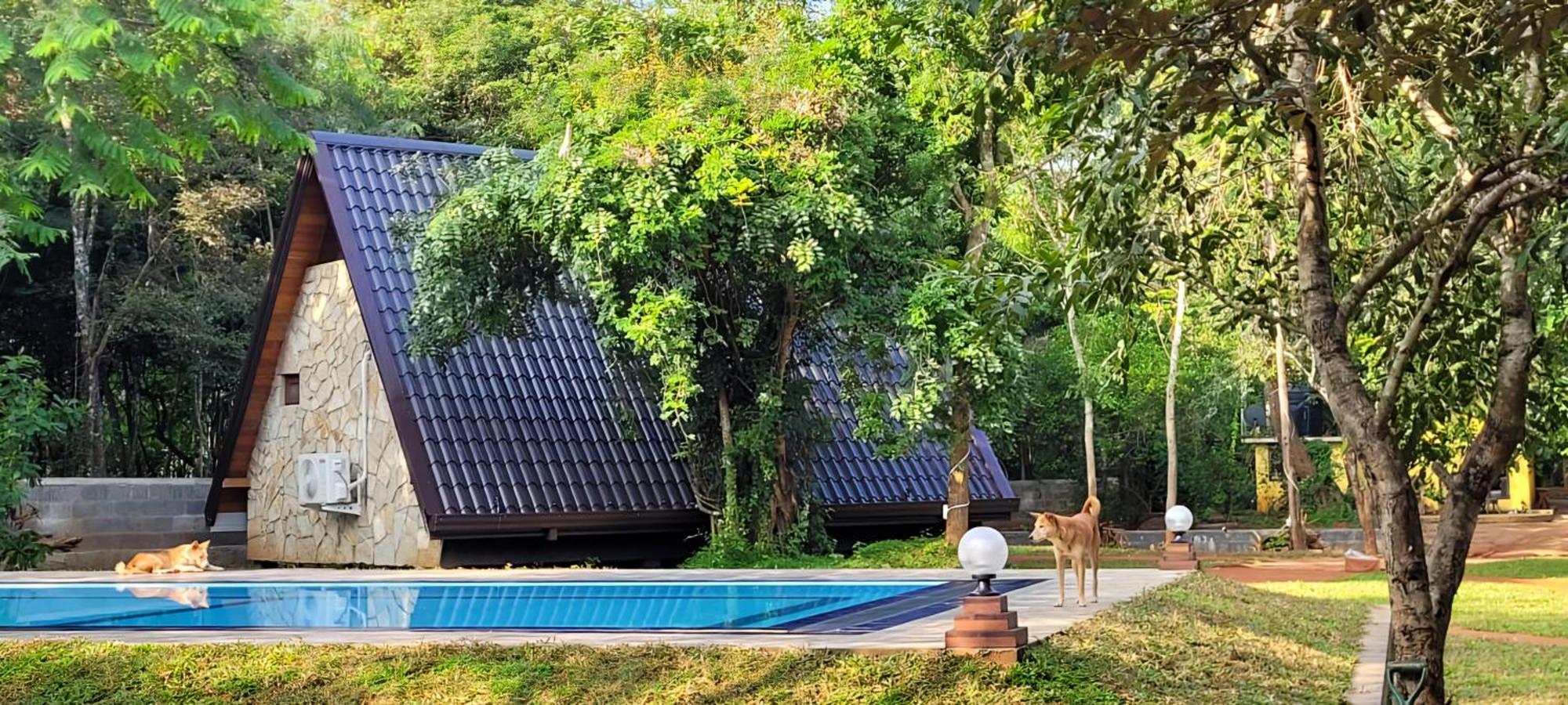 Lion King Jungle Cabanas Sigiriya Exterior photo